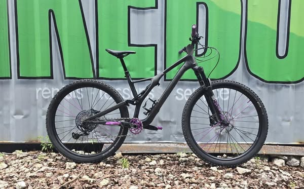 ​2019 Stumpjumper  Carbon Comp