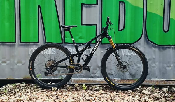 ​​2019 Stumpjumper SWORKS FSR 29er